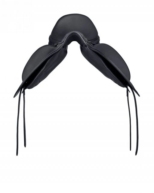 Prestige X-D2 K Free - Image 3