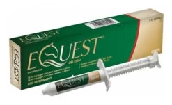 Equest