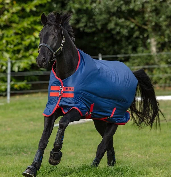 Amigo Mio Turnout Lite