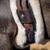 LeMieux Lambswool Anatomic Girth Cover