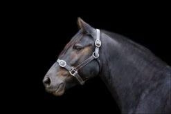 Ecorider Leather Headcollar