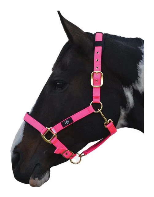 Hy Deluxe Padded Headcollar - Image 2
