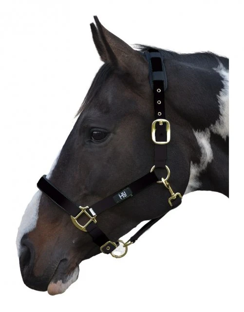Hy Deluxe Padded Headcollar - Image 3