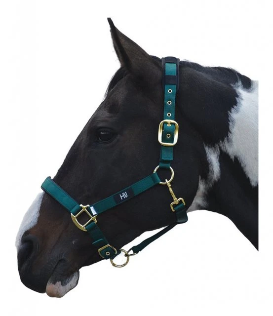 Hy Deluxe Padded Headcollar - Image 4