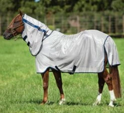 Amigo Mio Pony Fly Rug