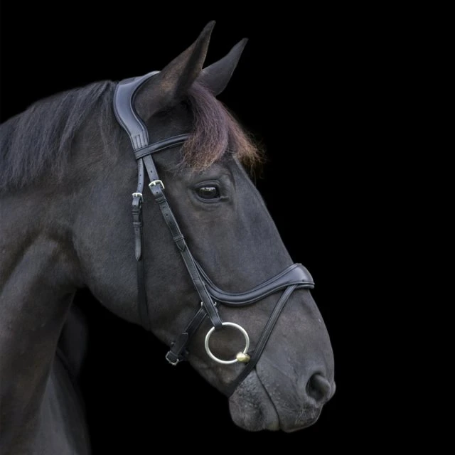 Ecorider Ecosoft Enigma Bridle - Image 2
