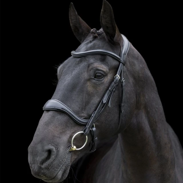 Ecorider Ecosoft Enigma Bridle - Image 3