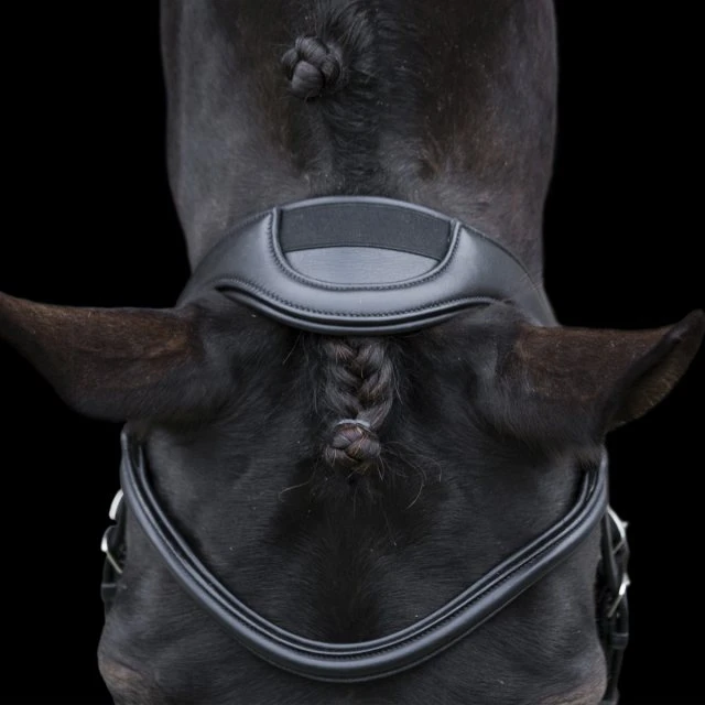 Ecorider Ecosoft Enigma Bridle - Image 4