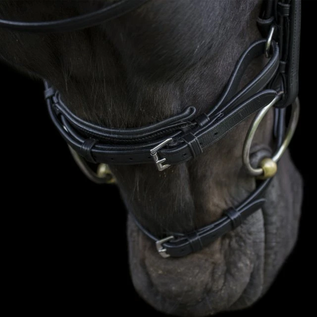 Ecorider Ecosoft Enigma Bridle - Image 5