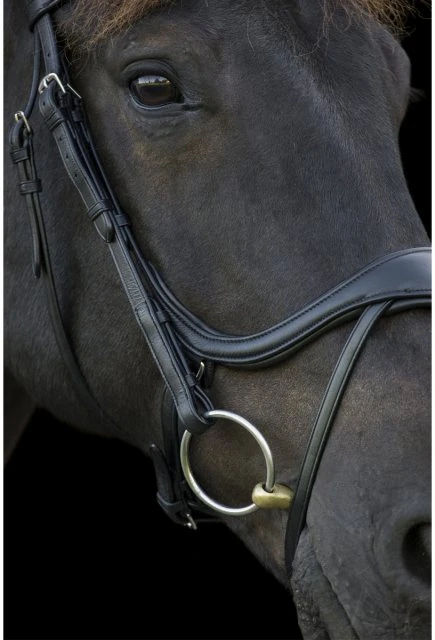 Ecorider Ecosoft Enigma Bridle - Image 6