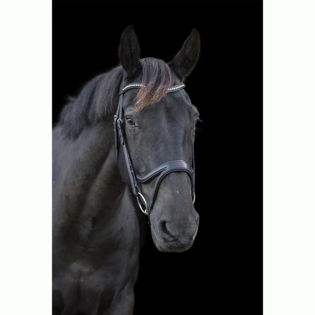 Ecorider Ecosoft Acclaim Bridle - Image 3