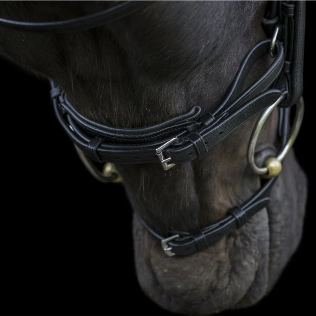 Ecorider Ecosoft Acclaim Bridle - Image 4