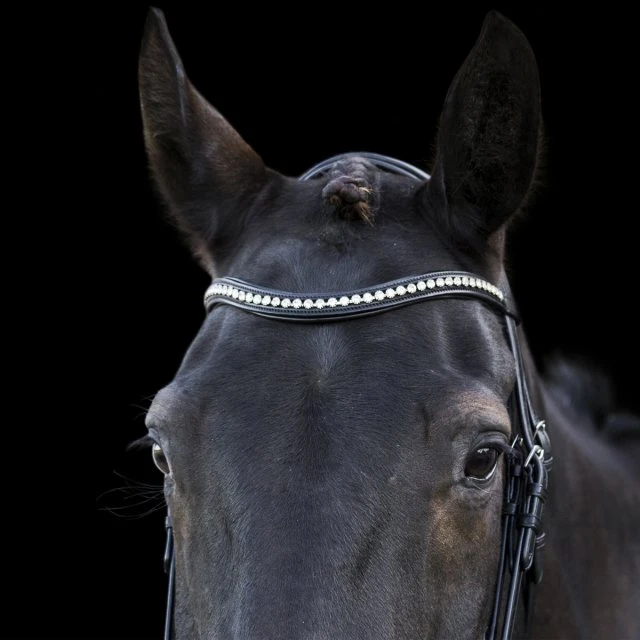 Ecorider Ecosoft Acclaim Bridle - Image 5