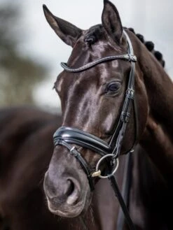 LeMieux Classic Dressage Bridle