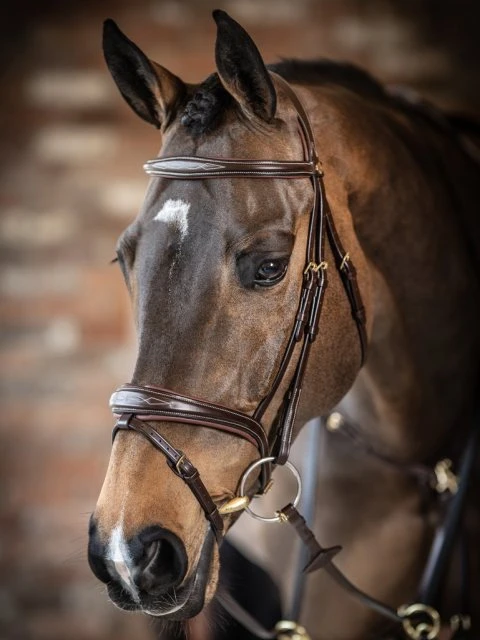 LeMieux Competition Flash Bridle - Image 4