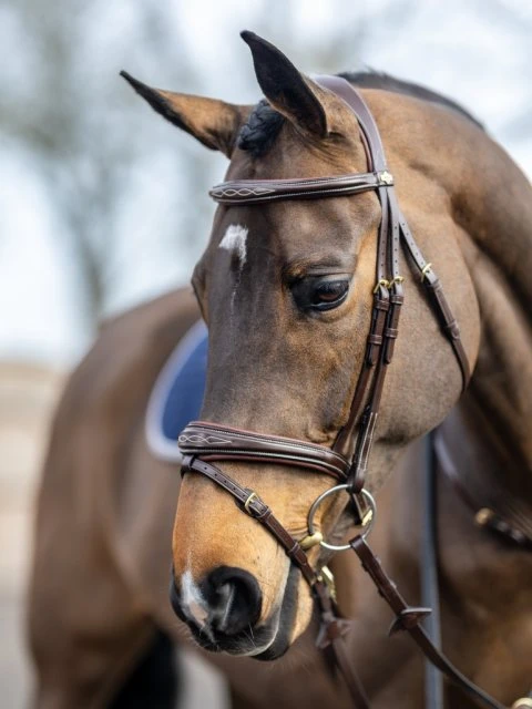LeMieux Competition Flash Bridle - Image 6