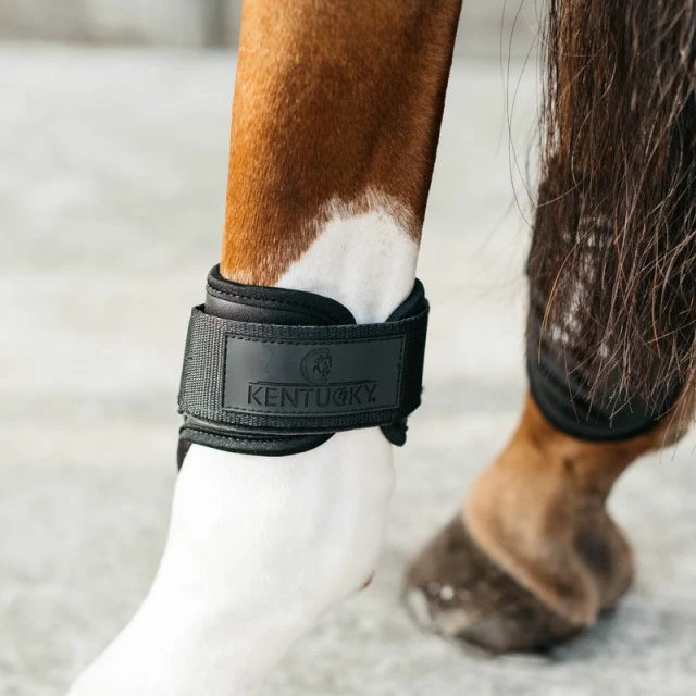 Kentucky Young Horse Fetlock Boots Air - Image 2