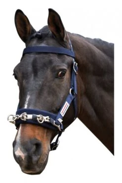 John Whitaker Lunge Cavesson