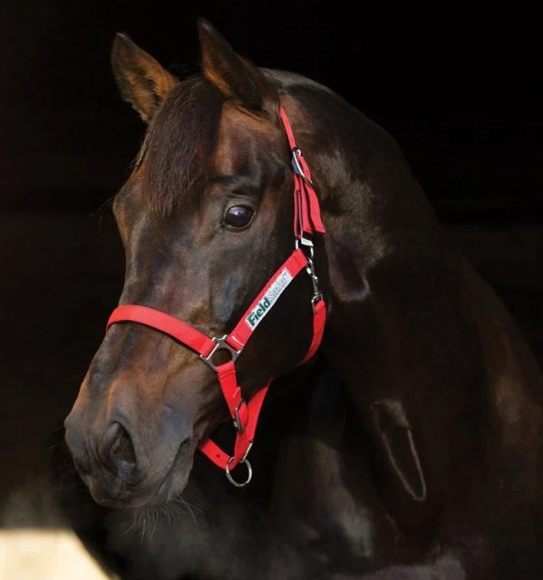 Horseware Fieldsafe Headcollar