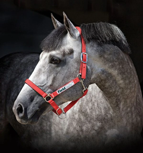 Horseware Fieldsafe Headcollar - Image 2