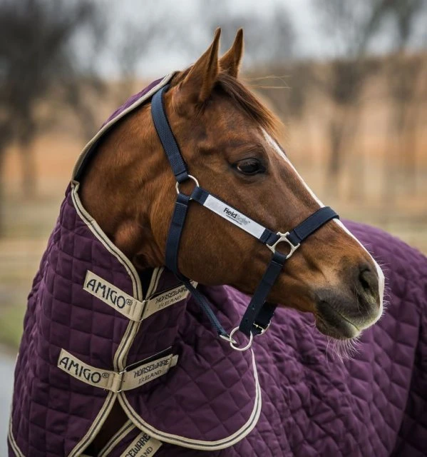 Horseware Fieldsafe Headcollar - Image 3