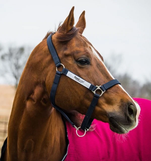 Horseware Fieldsafe Headcollar - Image 4