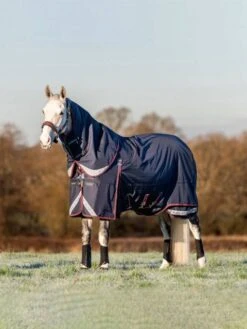 LeMieux Kudos Turnout Rug - 100g