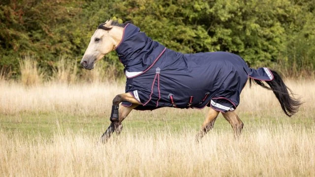 LeMieux Kudos Turnout Rug - 50g - Image 2