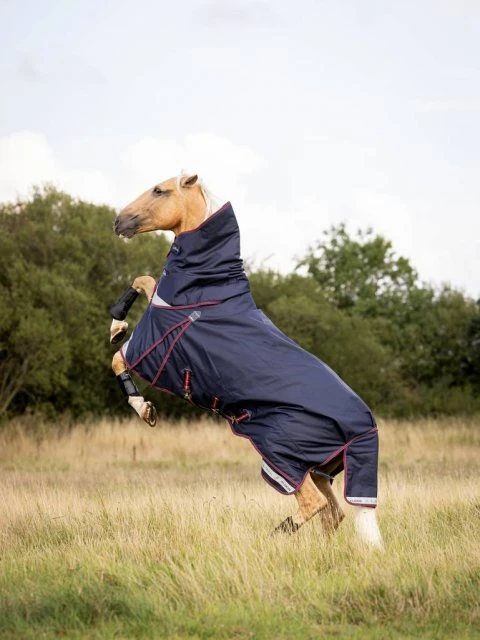 LeMieux Kudos Turnout Rug - 50g - Image 3