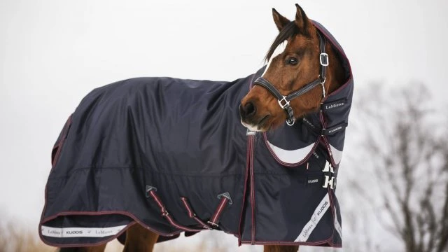 LeMieux Kudos Turnout Rug - 200g - Image 2