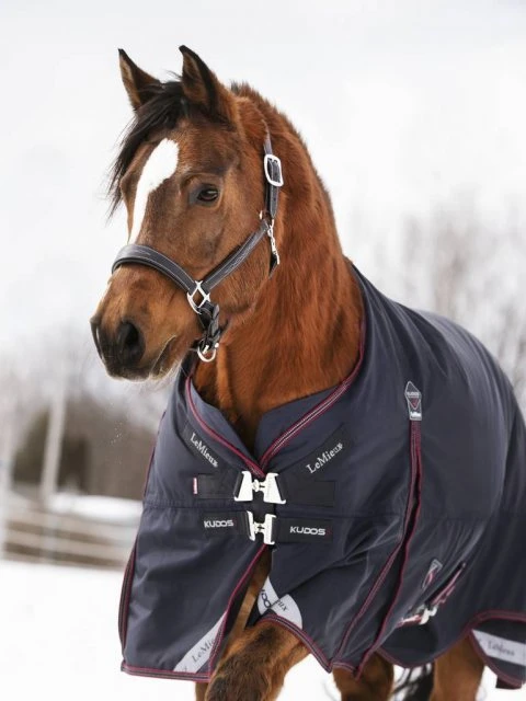 LeMieux Kudos Turnout Rug - 200g - Image 3