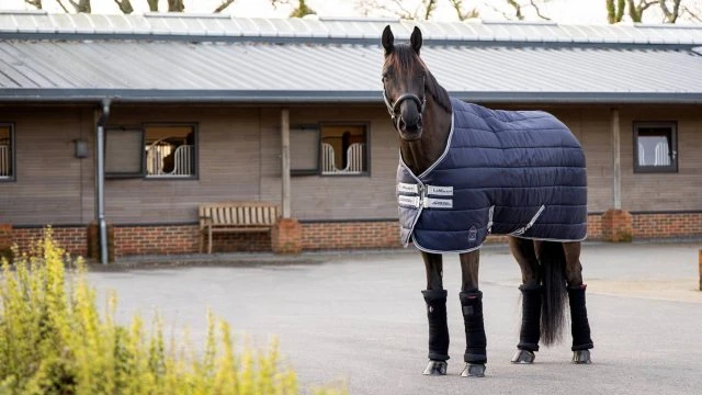 LeMieux Arika Stable-Tek - 200g - Image 3