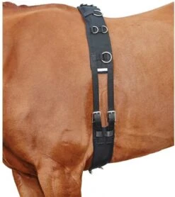 Kincade Lunge Roller With Fleece Padding