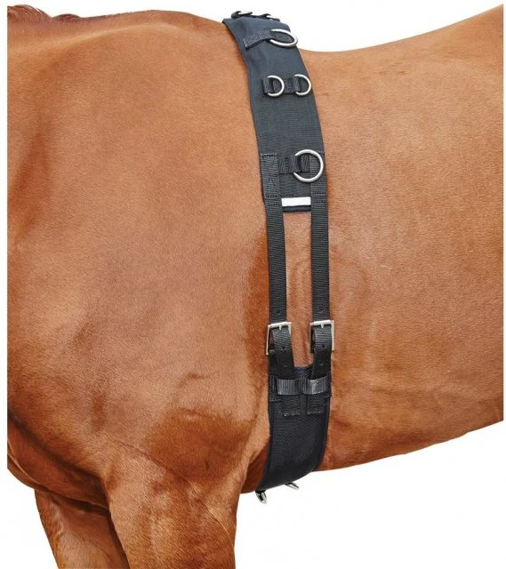 Kincade Lunge Roller With Fleece Padding