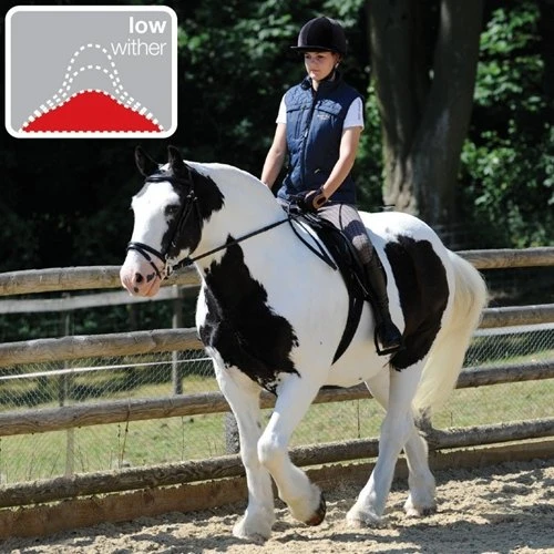 Thorowgood T8 COB GP - Image 2