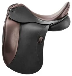 Ideal Suzannah Dressage