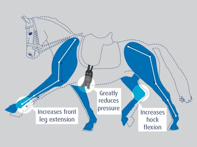 Prolite Girth Short - Image 3